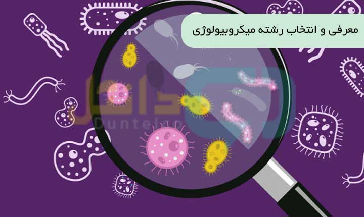 رشته میکروبیولوژی چیست رشته میکروبیولوژی چیست
