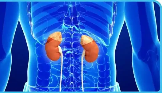 معافیت پزشکی غدد فوق کلیوی ۱۴۰۳ معافیت پزشکی غدد فوق کلیوی ۱۴۰۳
