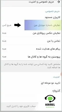 مخفی کردن شماره تلفن در برنامه شاد مخفی کردن شماره تلفن در برنامه شاد