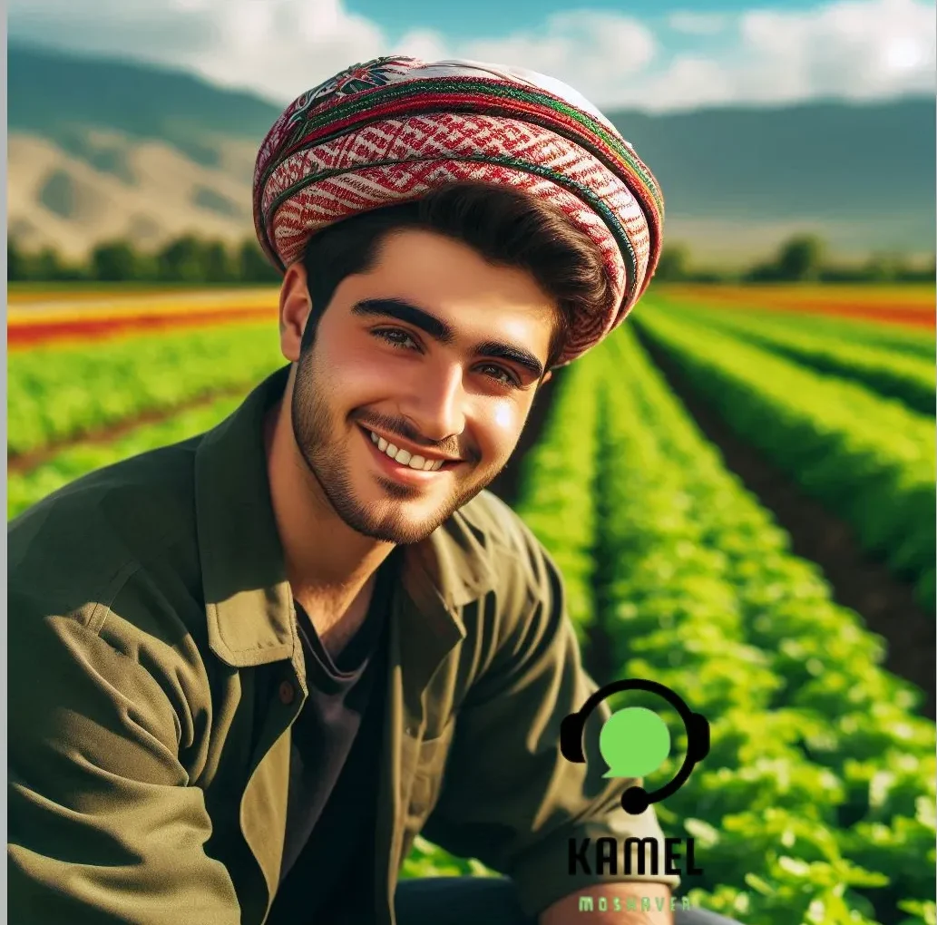دکتری استاد محور دکتری استاد محور ۱۴۰۴